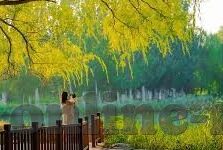 麻豆传媒app官网版-麻豆传媒,一个值得欣赏的娱乐平台